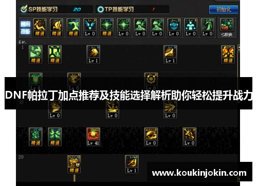 DNF帕拉丁加点推荐及技能选择解析助你轻松提升战力