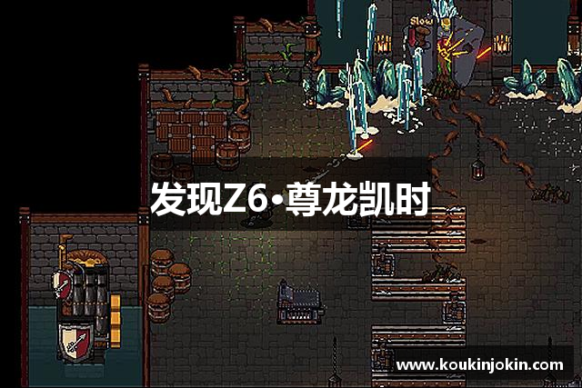 发现Z6·尊龙凯时